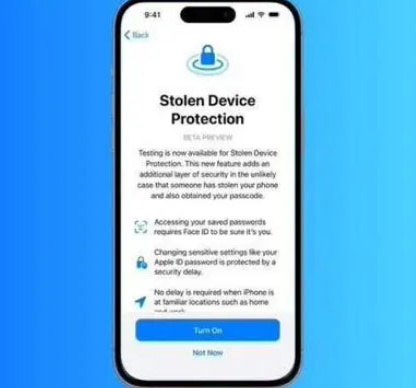 澄江苹果授权维修店分享被盗设备保护功能开启方法 