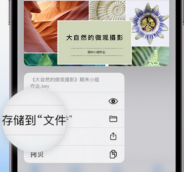 澄江apple维修中心分享iPhone文件应用中存储和找到下载文件