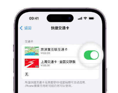 澄江apple维修点分享iPhone上更换Apple Pay快捷交通卡手绘卡面 