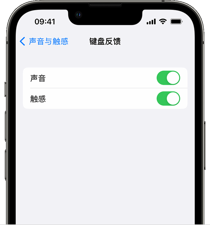 澄江苹果14维修店分享如何在 iPhone 14 机型中使用触感键盘 