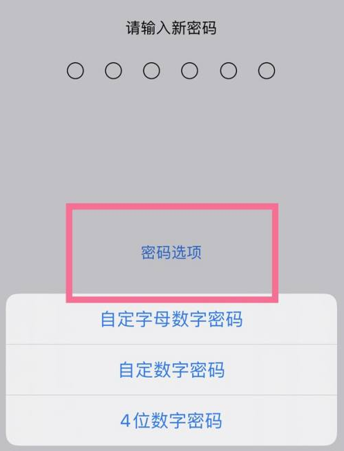 澄江苹果14维修分享iPhone 14plus设置密码的方法 