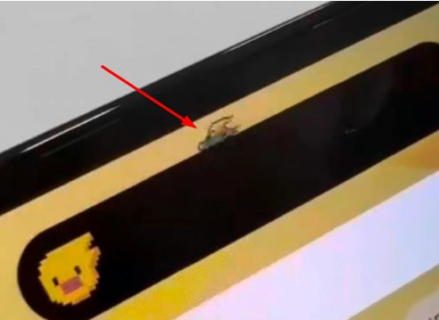 澄江苹果14维修分享iPhone 14 Pro Max灵动岛怎么养宠物 