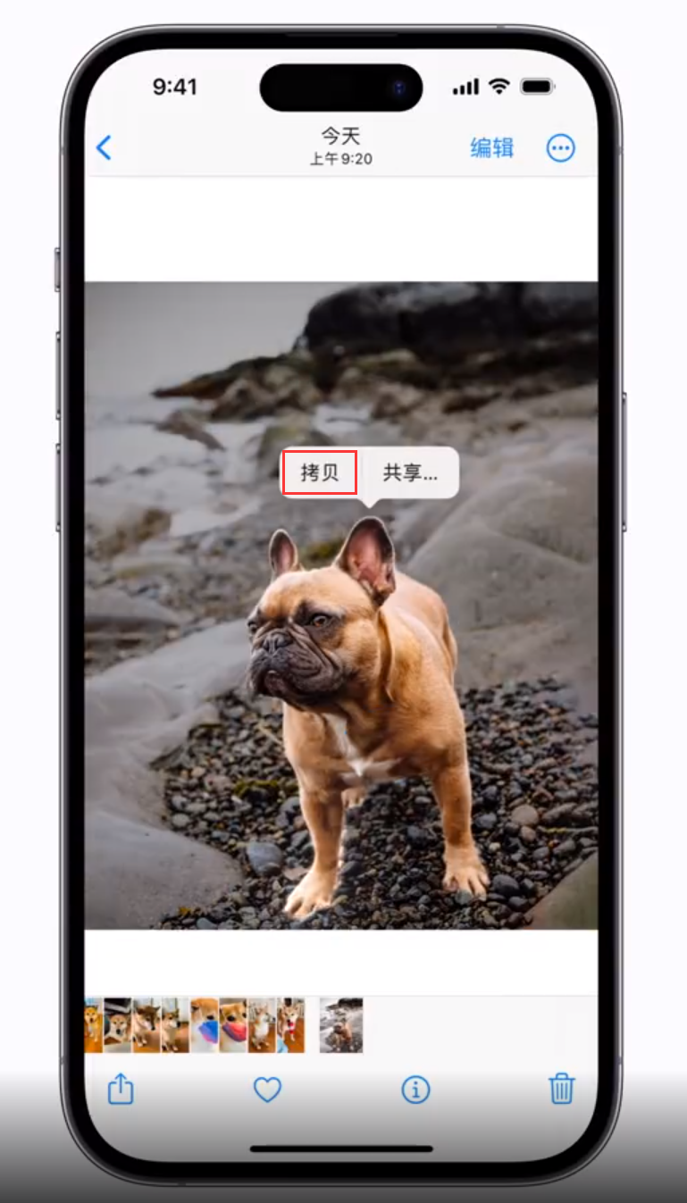 澄江苹果手机维修分享 iOS 16 自带一键抠图功能 