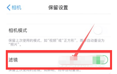 澄江苹果13维修分享iPhone13拍照有绿点是怎么回事 