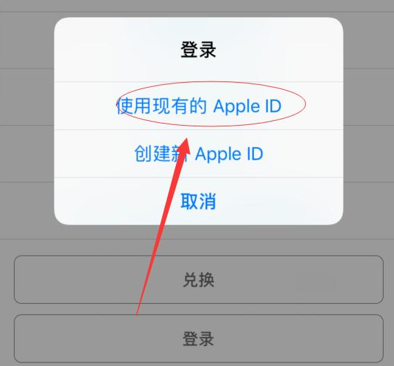 澄江苹果手机维修分享两台iPhone设备可以同时登录一个Apple ID吗 