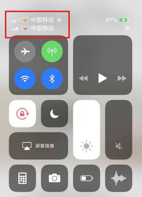 澄江苹果手机维修分享为 iPhone 12 双卡设置标签 