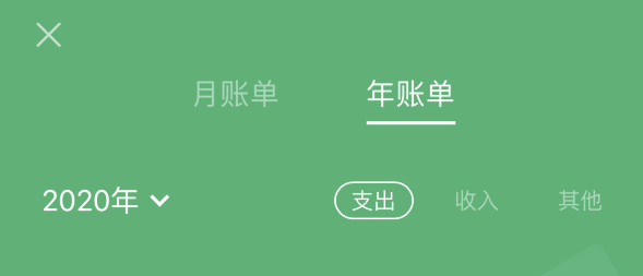 澄江苹果手机维修分享如何在 iPhone 上查看支付宝和微信年支出账单 